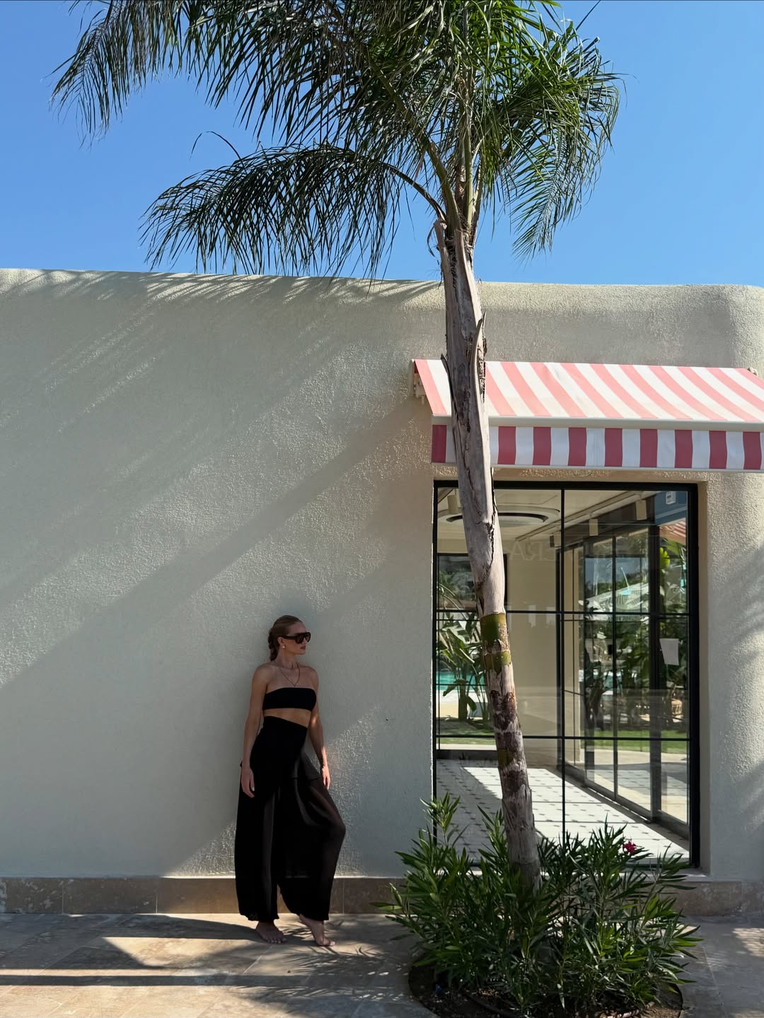 Дружина Стейтема показала три модні образи на літо: зможе повторити кожна (фото)